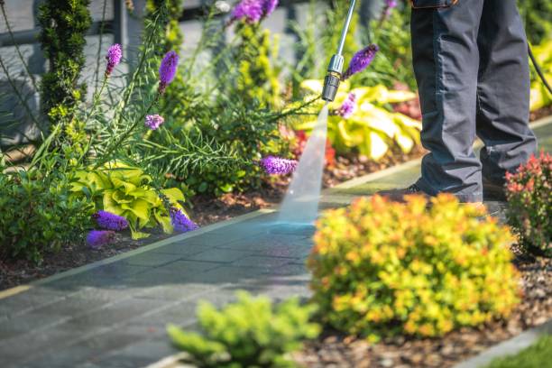 Best Fence Cleaning and Maintenance in Corbin, KY
